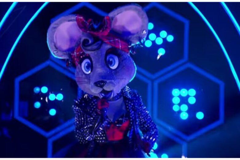 the masked singer anonymous