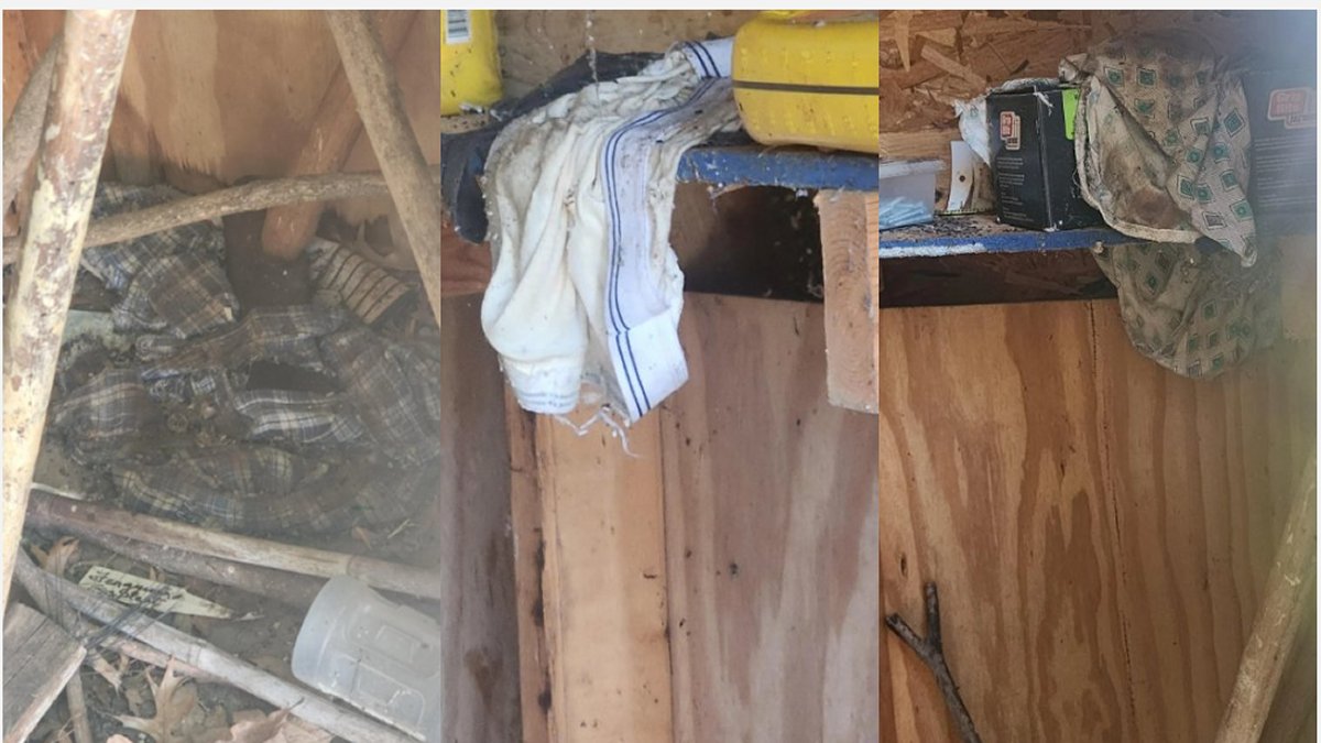 Ohio Shed