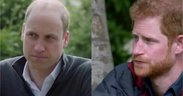 Prince Harry and Prince William discussion