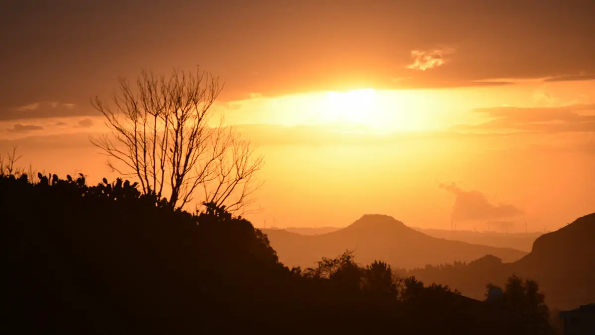 arizona heatwave hack