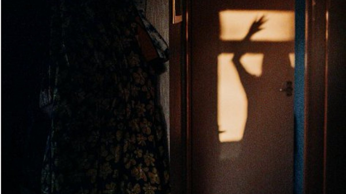 Montana Shadow
