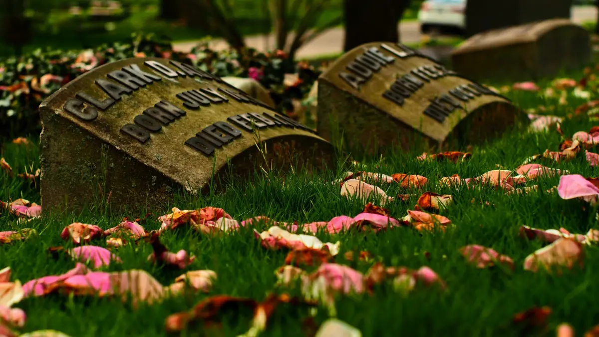 maryland cemetery mistkake