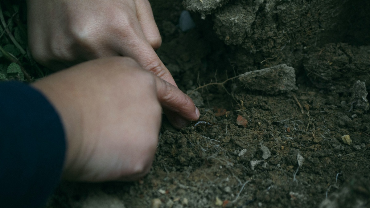 New York volunteer sees unusual cemetery ritual