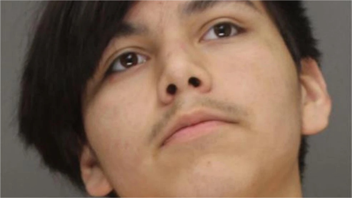 Wisconsin teen attacks mother with hedge trimmer