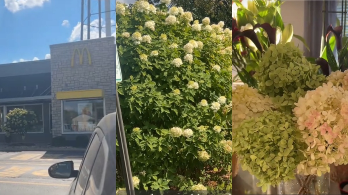 Missouri woman uses flowers cut from McDonald's for wedding