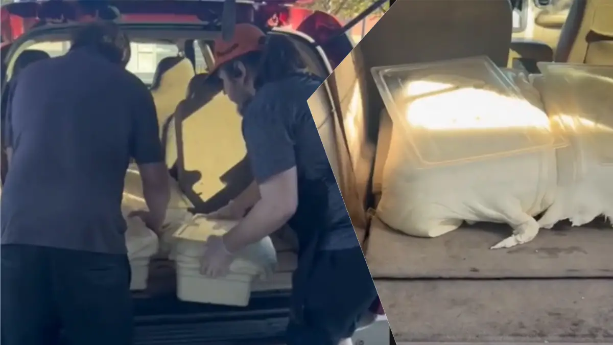 Tennessee Little Caesars Workers Unload Dough Out Of Dirty Car