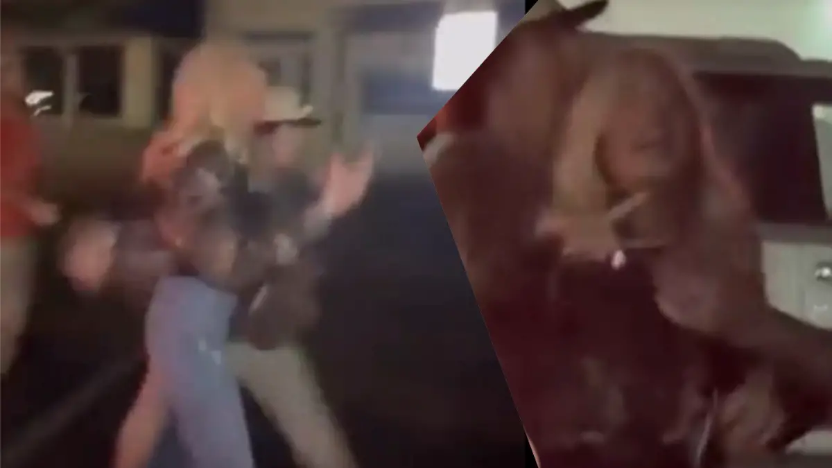 North Carolina woman parking lot meltdown