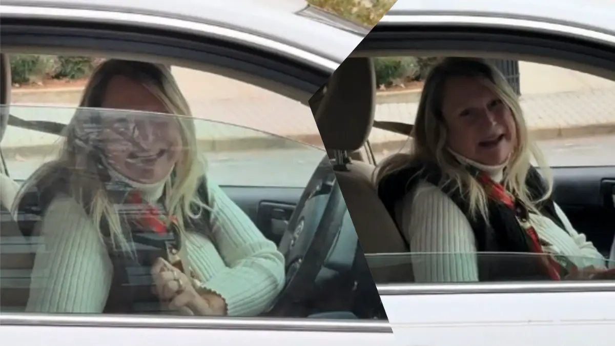 Tennessee karen road rage