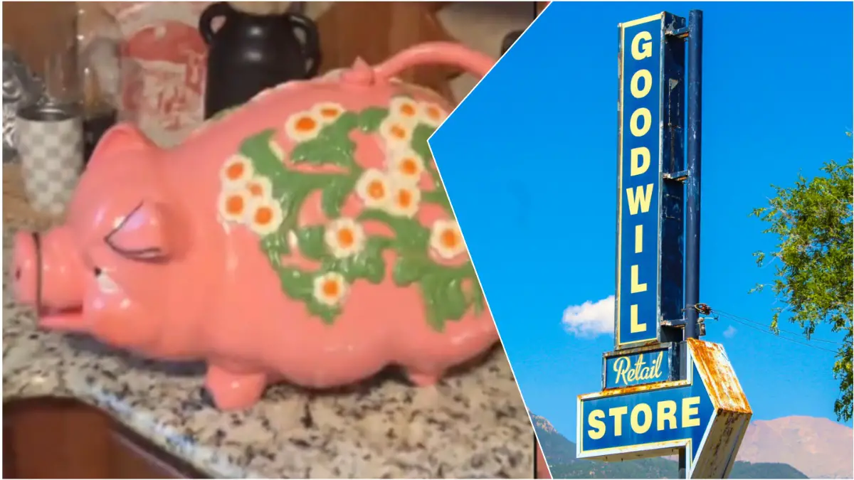 Texas piggy bank goodwill