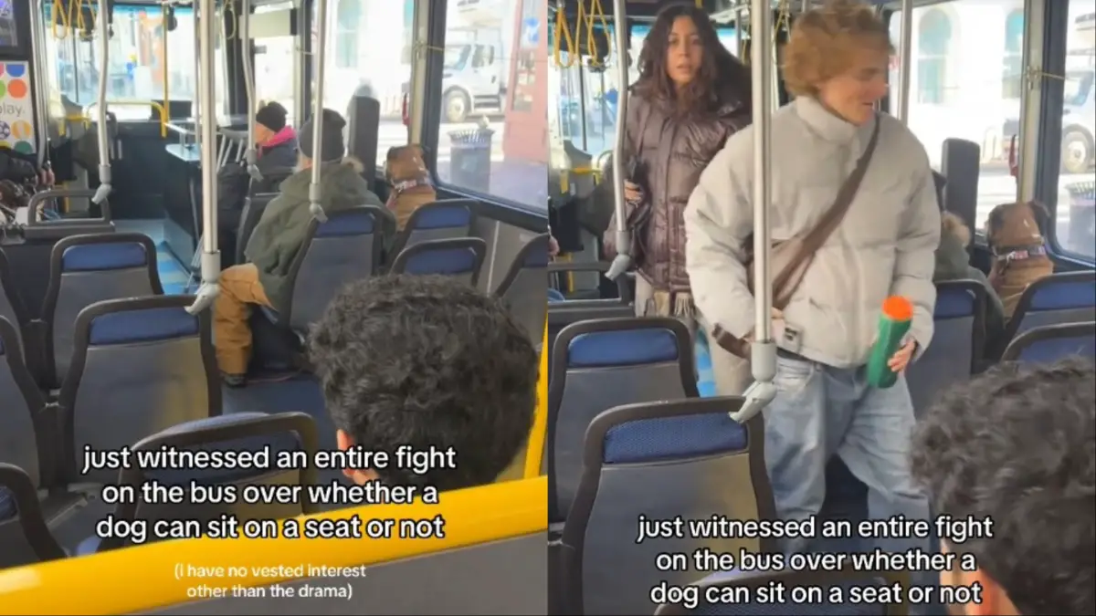 Washington Bus Altercation