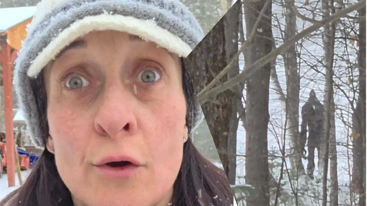 vermont woods discovery