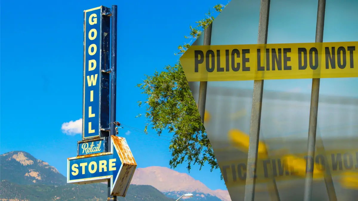 Michigan Goodwill skull