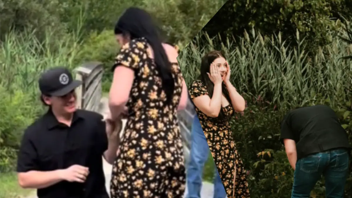 new york puke proposal