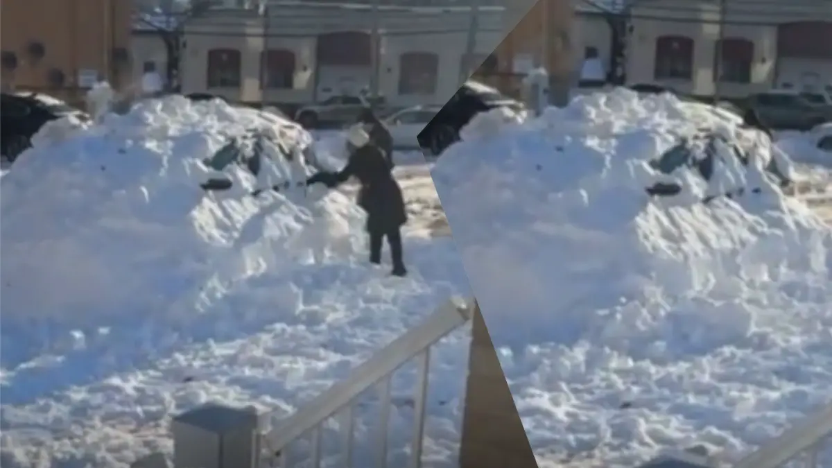 Pennsylvania woman gets snow revenge on neighbor