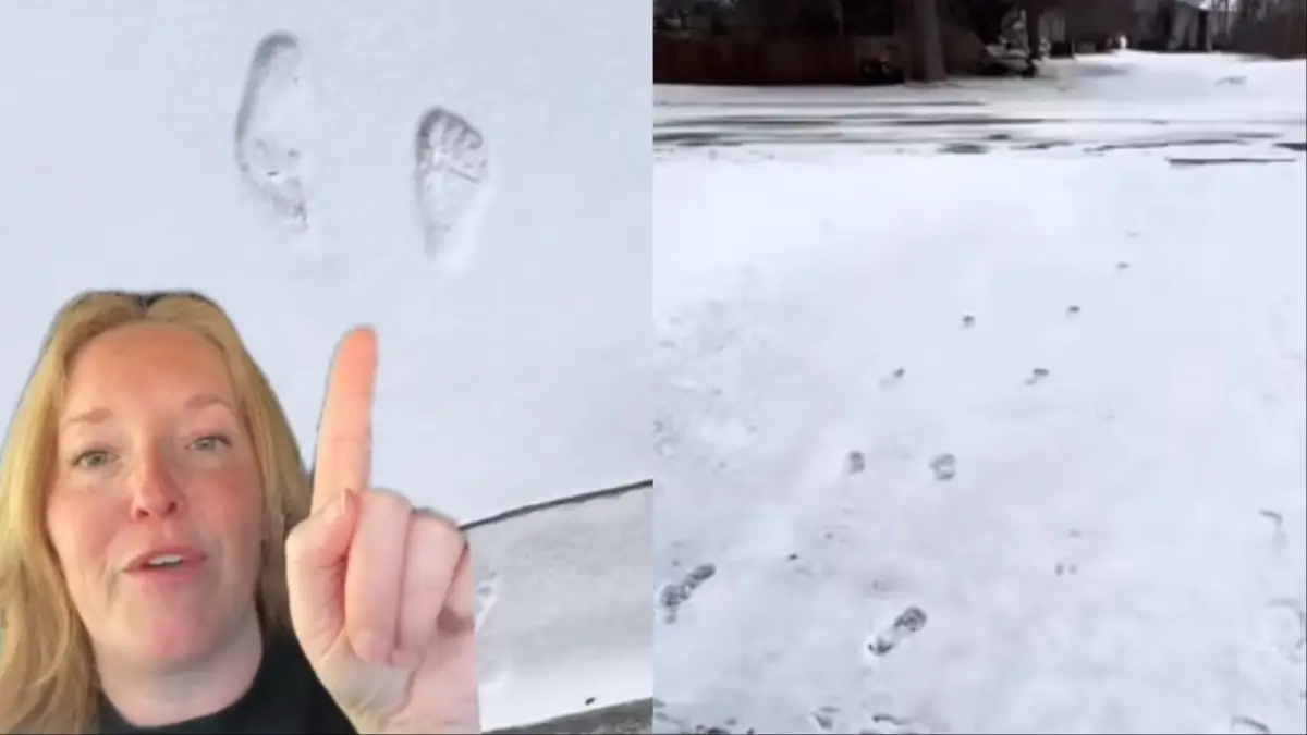Creepy South Dakota snow tracks