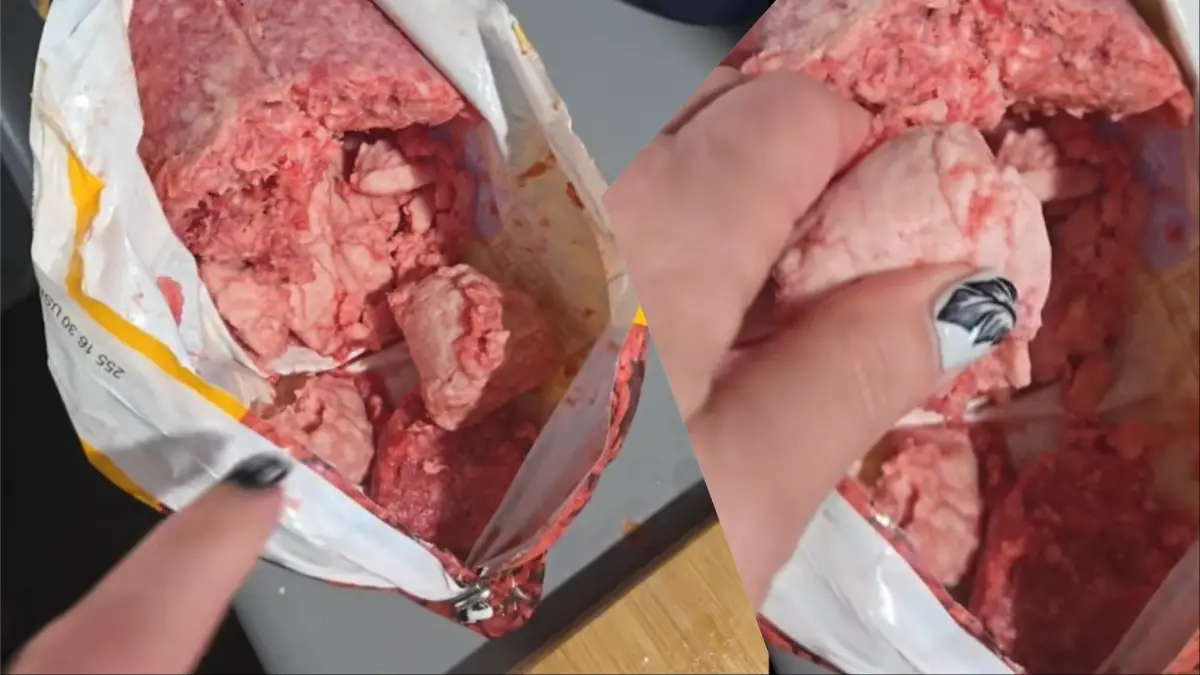 Michigan Meat Mystery