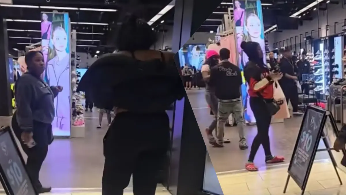 Mississippi Cat Fight