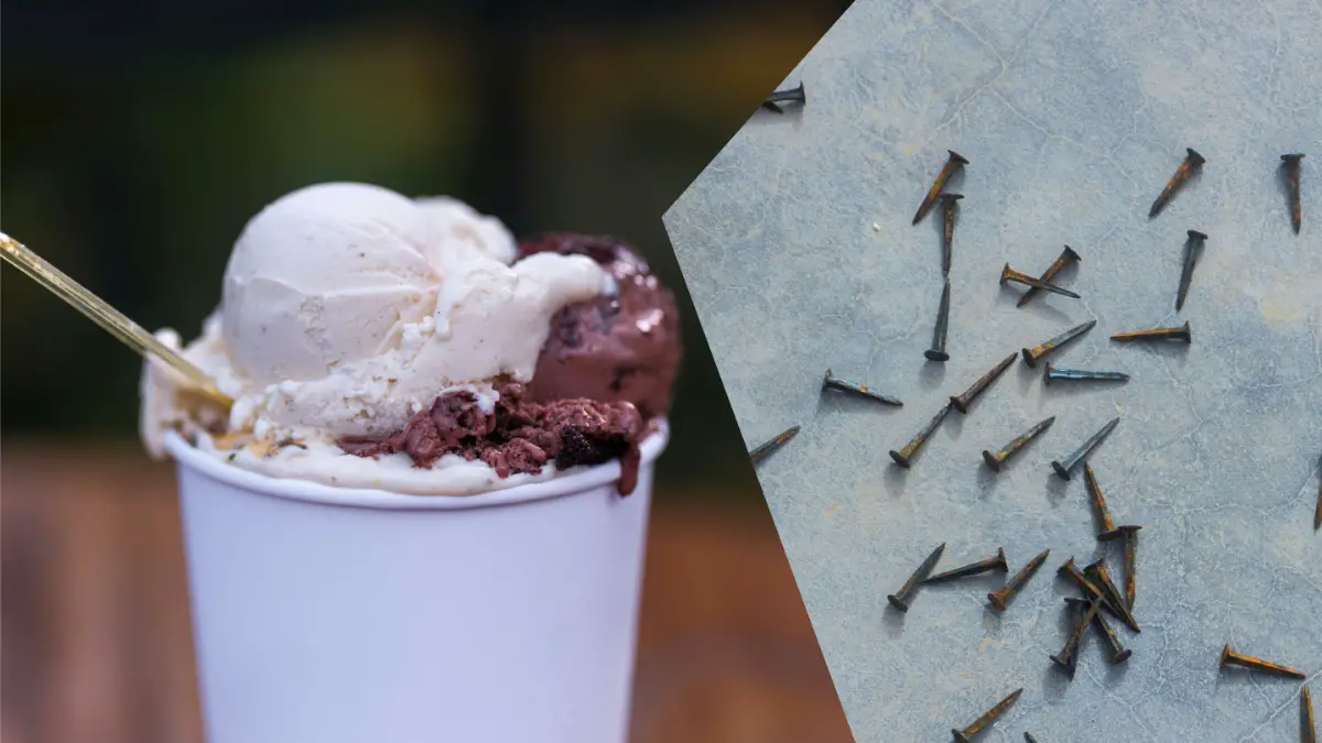 Florida woman finds nails in ice cream