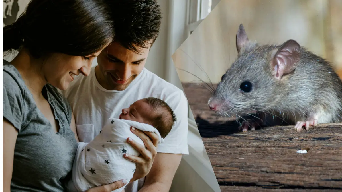 Oregon parents find dead mouse in baby's mouth