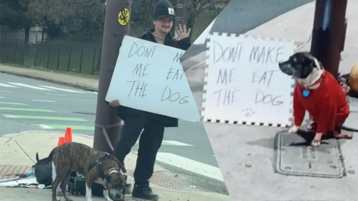 Homeless Pennsylvania man's sign about dog goes viral