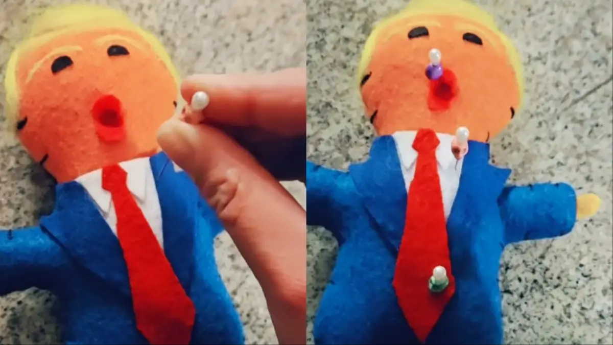 Anti MAGA Michigan Woman