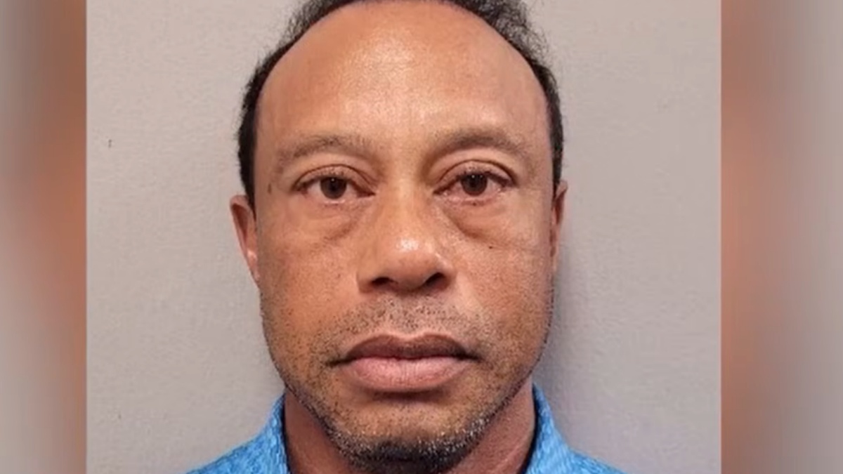 Tiger Woods mugshot
