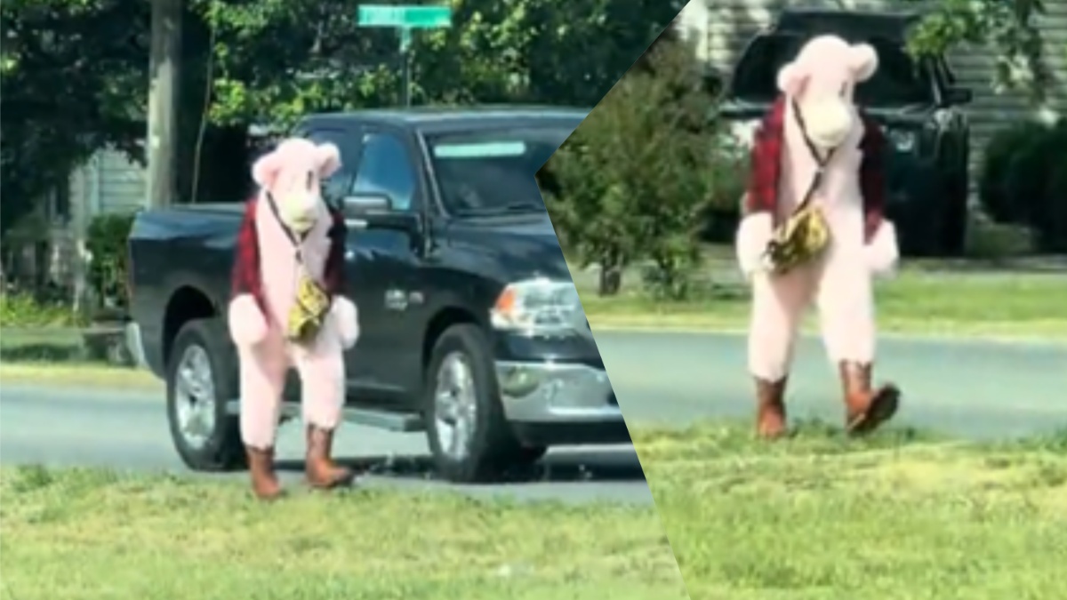 Bizarre Pink Panther Man Terrorizes The Kids In Virginia Town: ‘I Don’t Think Anyone Understands How Scary This Really Is’