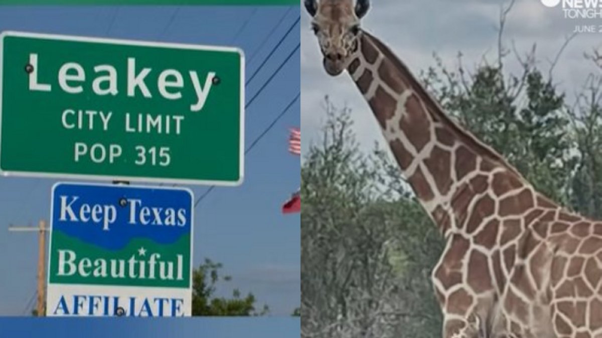 Texas