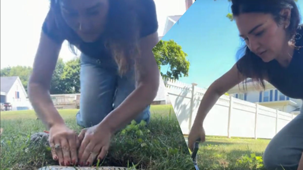 Connecticut woman finds pet cemetery in yard